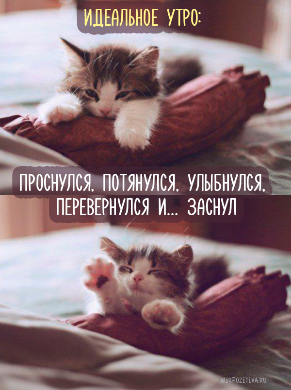 Хостинг картинок yapx.ru