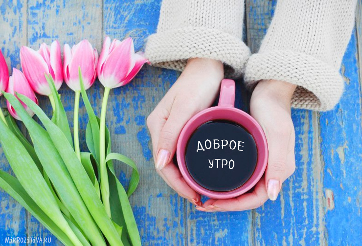 Хостинг картинок yapx.ru