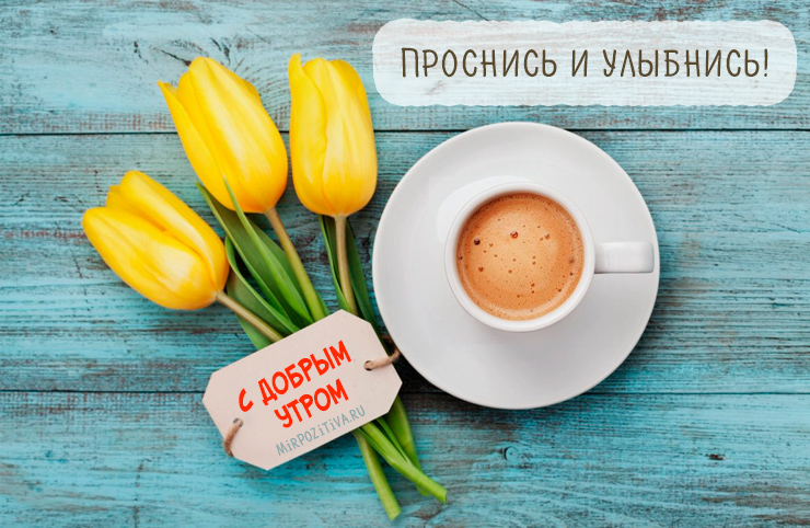 Хостинг картинок yapx.ru