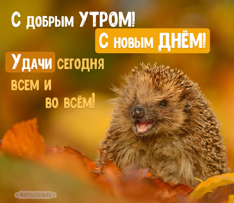 Хостинг картинок yapx.ru