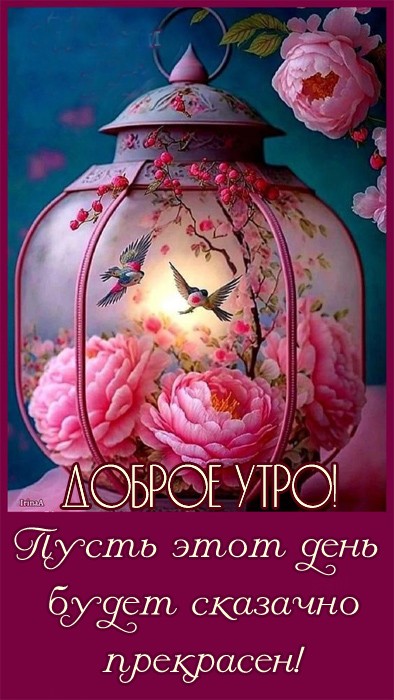 Хостинг картинок yapx.ru