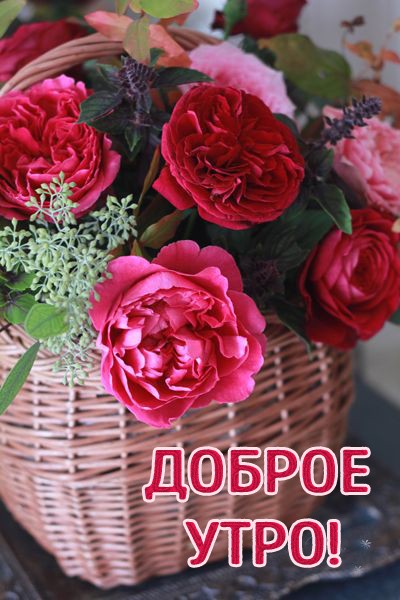 Хостинг картинок yapx.ru