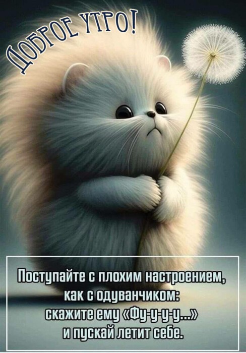 Хостинг картинок yapx.ru