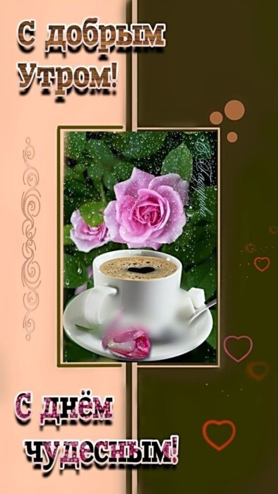 Хостинг картинок yapx.ru