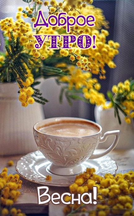 Хостинг картинок yapx.ru