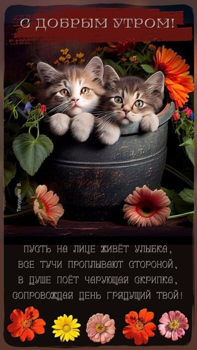 Хостинг картинок yapx.ru