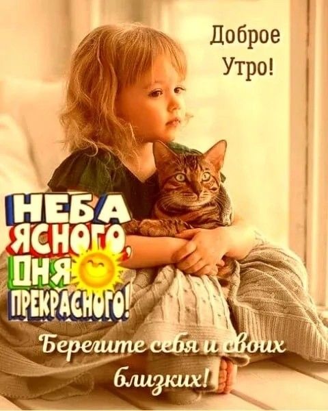 Хостинг картинок yapx.ru