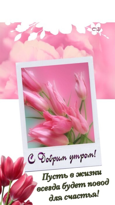 Хостинг картинок yapx.ru