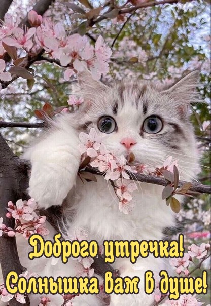 Хостинг картинок yapx.ru