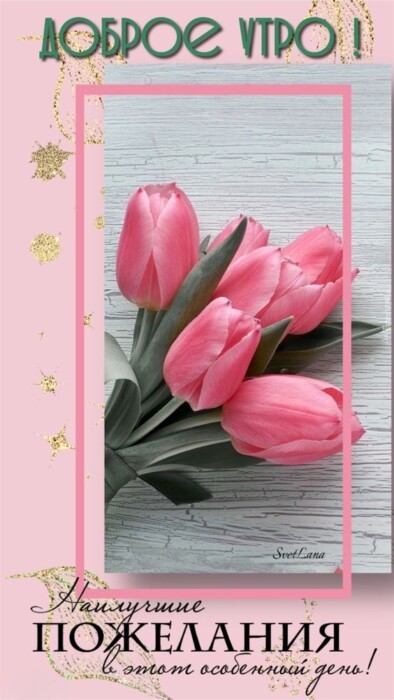 Хостинг картинок yapx.ru