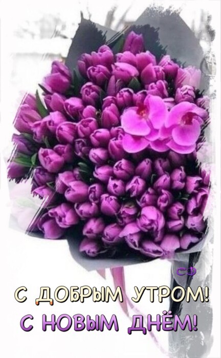 Хостинг картинок yapx.ru