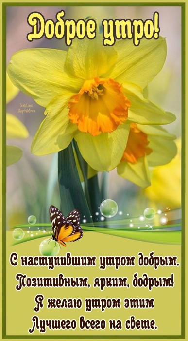 Хостинг картинок yapx.ru