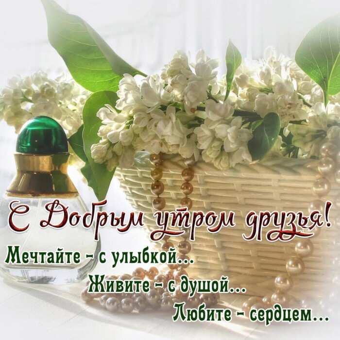 Хостинг картинок yapx.ru