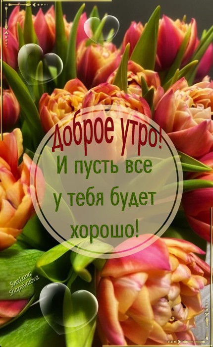 Хостинг картинок yapx.ru