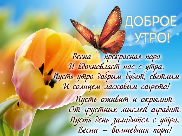 Хостинг картинок yapx.ru