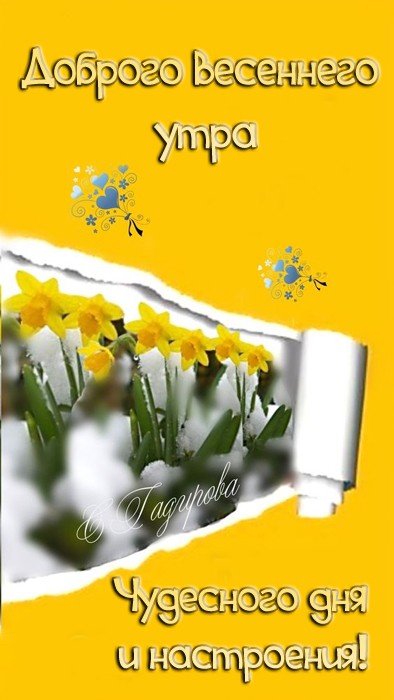 Хостинг картинок yapx.ru