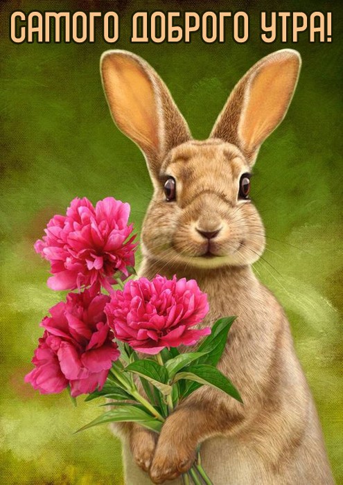 Хостинг картинок yapx.ru