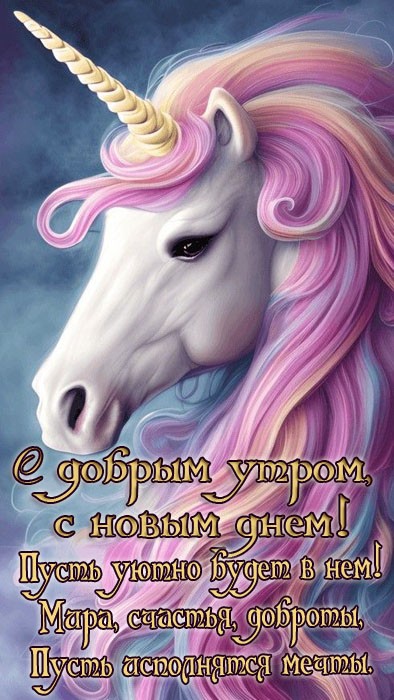 Хостинг картинок yapx.ru