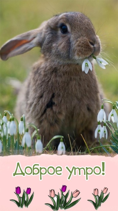 Хостинг картинок yapx.ru