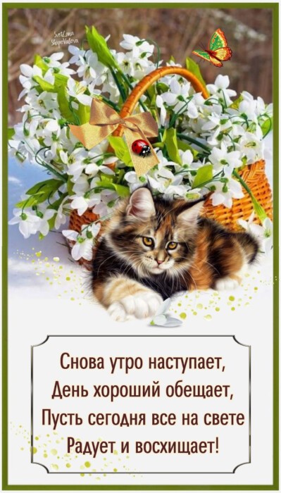 Хостинг картинок yapx.ru