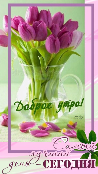 Хостинг картинок yapx.ru