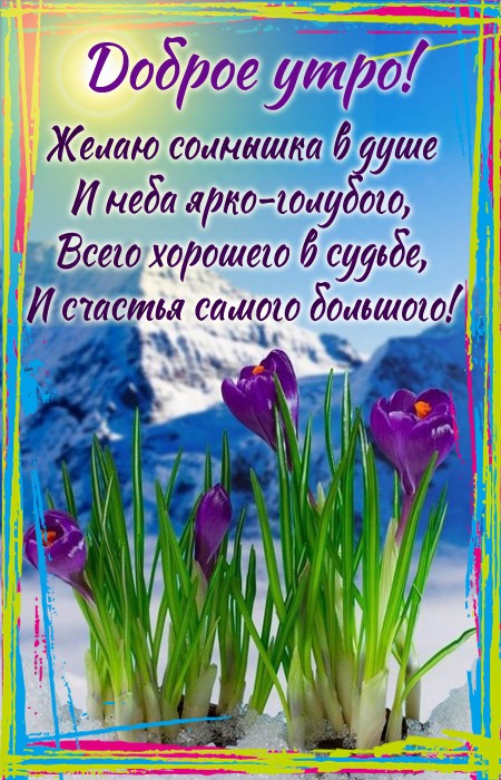 Хостинг картинок yapx.ru