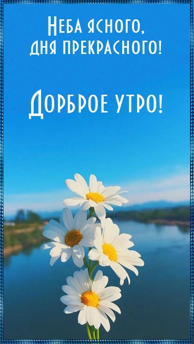 Хостинг картинок yapx.ru