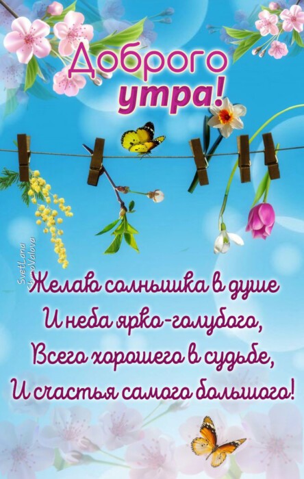 Хостинг картинок yapx.ru