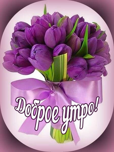 Хостинг картинок yapx.ru