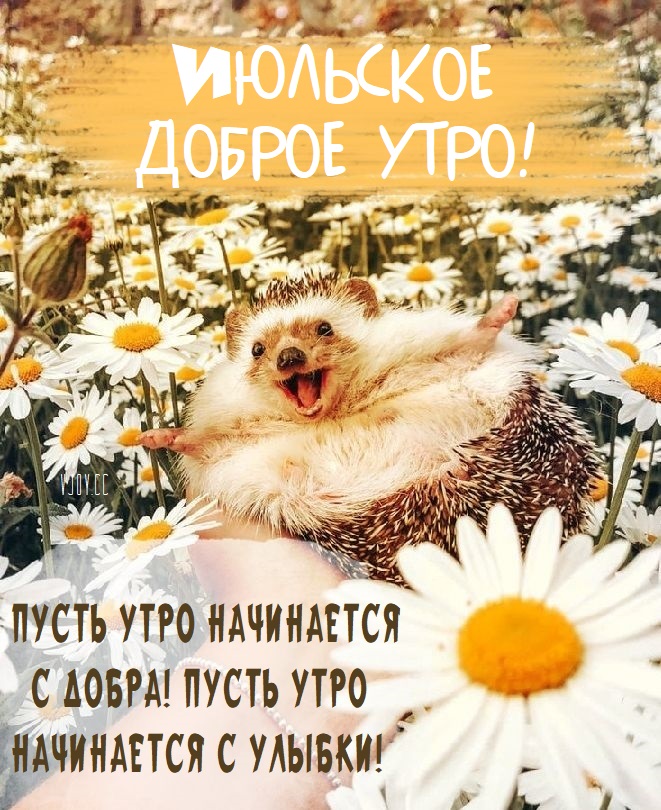 Доброго Июльского утра, друзья! Я хотел бы передать вам свои самые искренние пожелания и пожелать вам прекрасного начала этого прекрасного месяца.