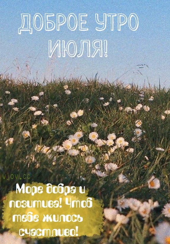 Июль - это время, когда лето уже полностью раскрывается своей красотой и изобилием.