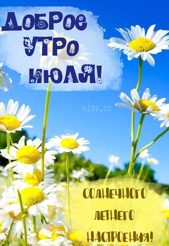 Насладитесь свежестью утреннего ветра, теплом лучей Июльского солнца на вашей коже и нежностью травы под вашими ногами.