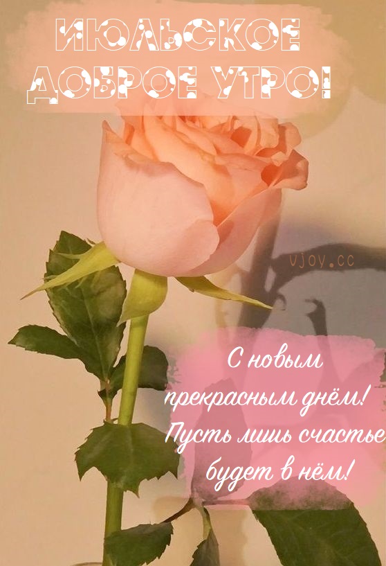 Позвольте себе расслабиться и насладиться моментом.