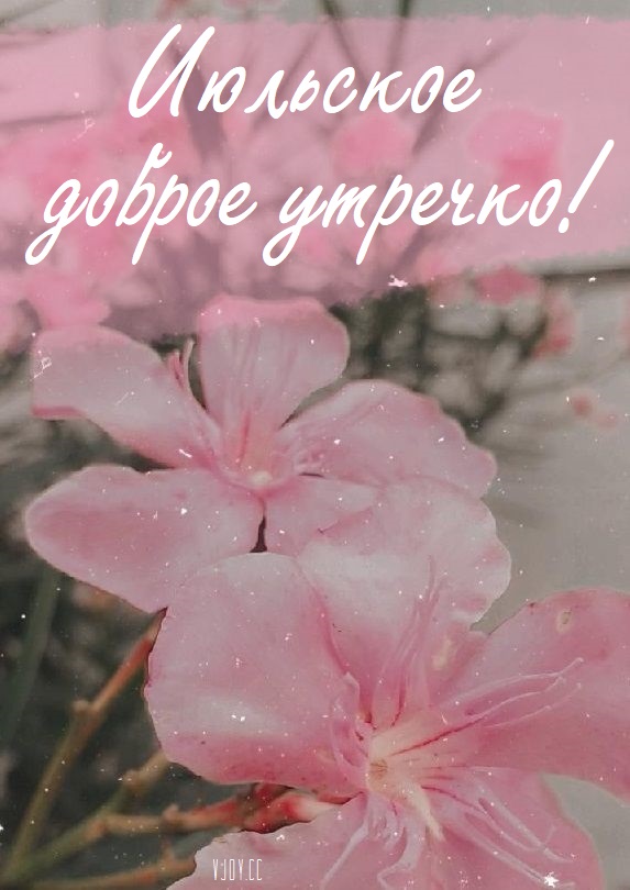 И наконец, желаю вам, чтобы этот Июль принес вам успех во всех ваших начинаниях. Пусть ваши проекты благополучно развиваются, а ваши мечты сбываются.