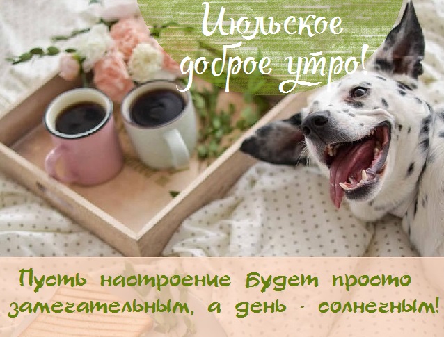 Желаю чтобы каждое Июльское утро в этом месяце вдохновляет вас на добавление новых капитанов и достижение больших высот.