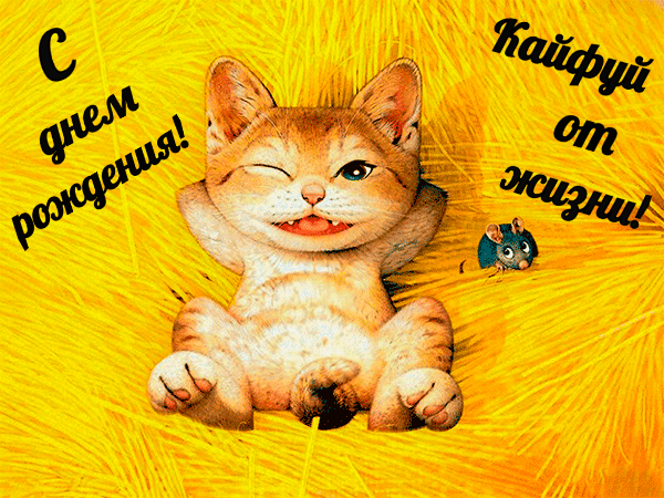 100 Прикольных гиф Открыток "С Днём Рождения" в 2024 - 2025 году.