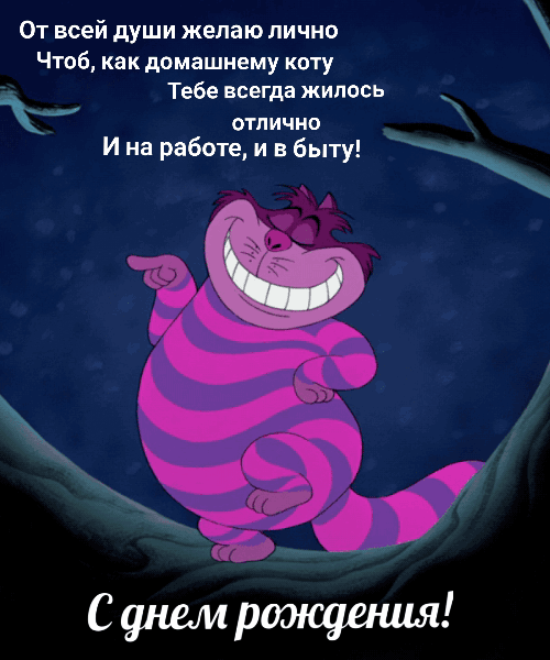 С днём рождения прикольные и смешные гифки.