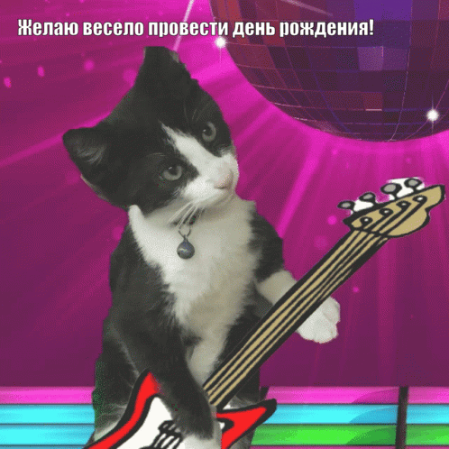 Happy Birthday Funny GIFs