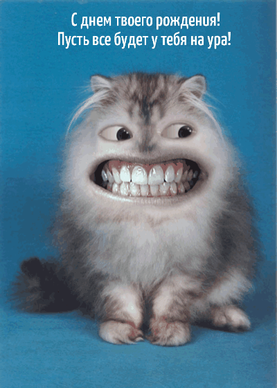 Выбирайте среди прикольных открыток на нашем сайте оригинальное поздравление с Днем рождения