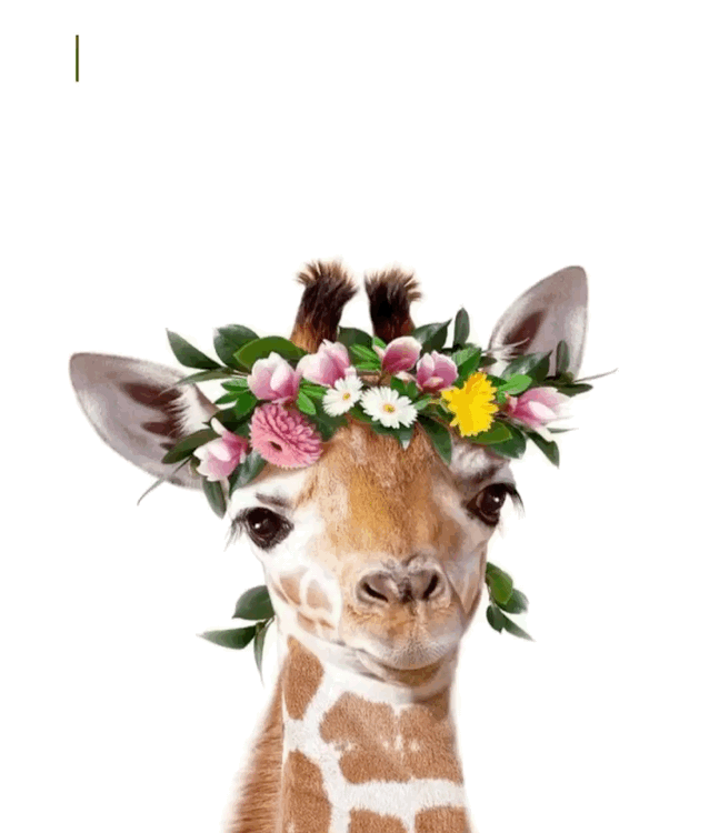 В этот славный день, весь мир тебе дарит Поздравления, улыбки и теплоту родных. И я сегодня не упущу момента, Чтоб рассказать тебе стихов немного.