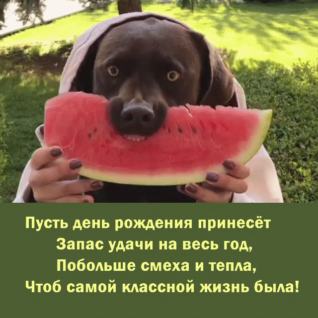 Так пусть тебя сопровождают удача, И светлая радость всегда в сердце зажигается. С Днем Рождения поздравляю тебя, Пусть каждый день твоей жизни будет в шутку.