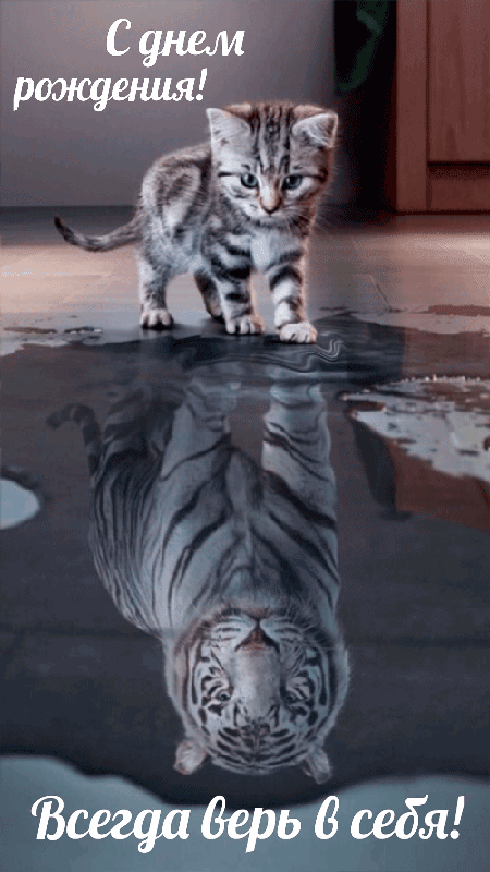 Ты прикалываешь всех всегда, Твои шутки звучат постоянно. Поэтому сегодня ты сам царь, И тебя никто не обидит даром!