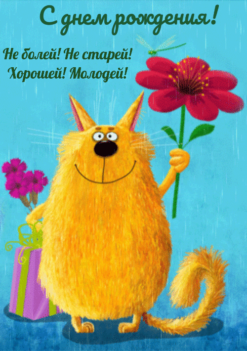 Анимация с днем рождения прикольные