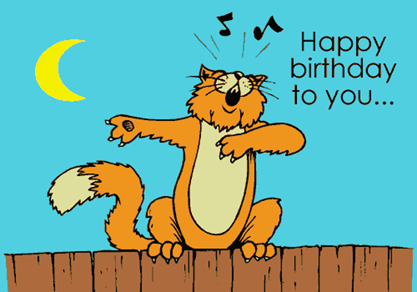 Скачать наши красивые и прикольные картинки можно бесплатно и без регистрации