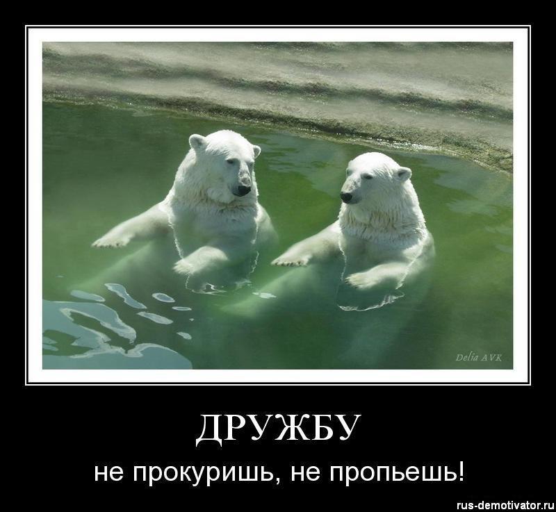 Смешные Фото С Днем Друзей. Приколы про дружбу, Дружба картинки прикольные, Смешные цитаты про дружбу. Смешные Фото С Днем Друзей. Приколы про дружбу, Дружба картинки прикольные, Смешные цитаты про дружбу.
