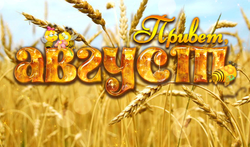 Открытка Здравствуй август лето продолжается, Здравствуй август величавый.