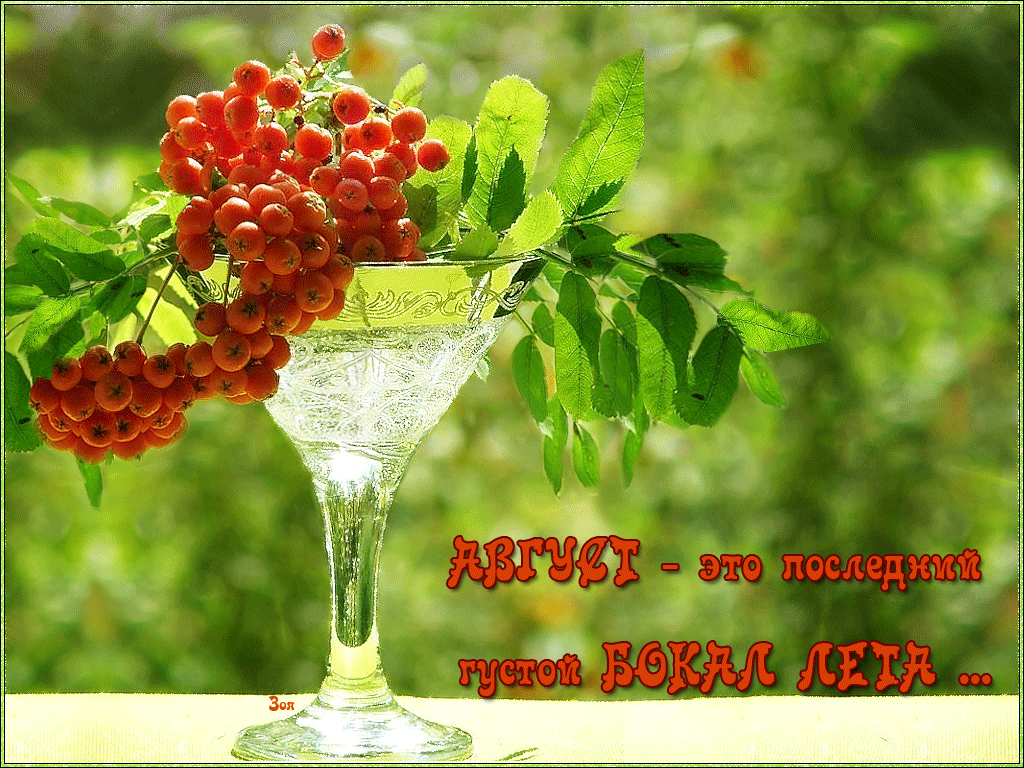 Мерцающая красивая картинка здравствуй, август.