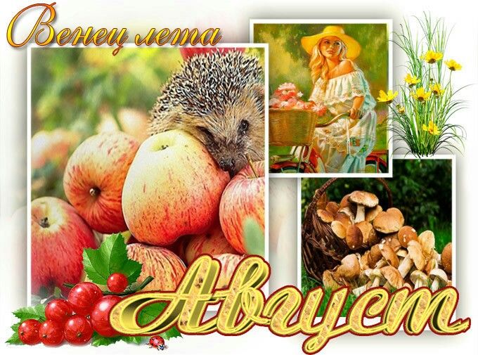 Лето август надпись