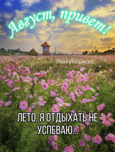 Картинки С Августом Первый День.