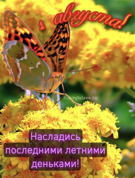 Поздравления с Августом